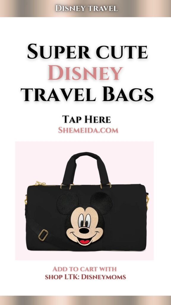 Disney Travel Bag