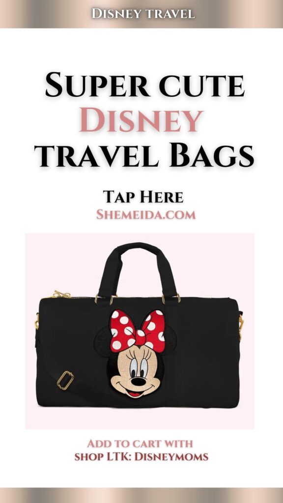 Disney Travel Bag