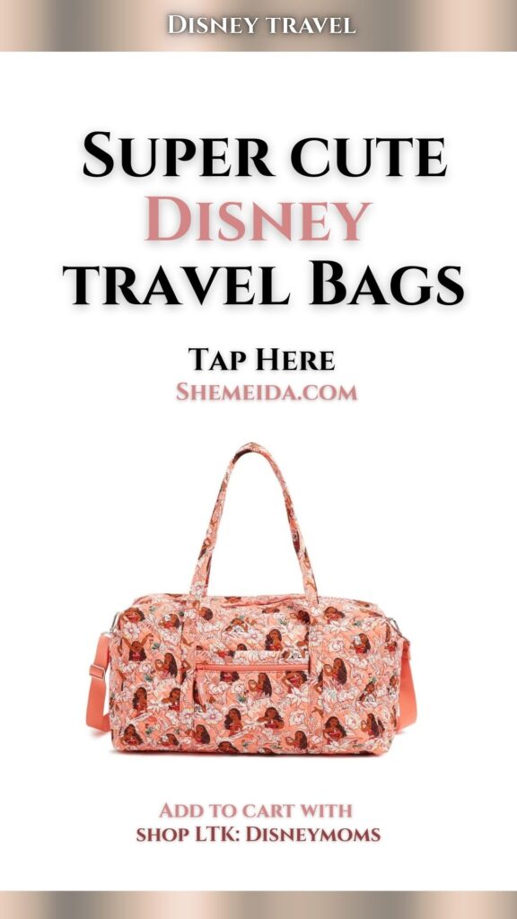 Disney Travel Bag